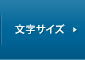 文字サイズ