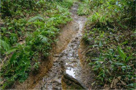 雨の登山道の歩き方