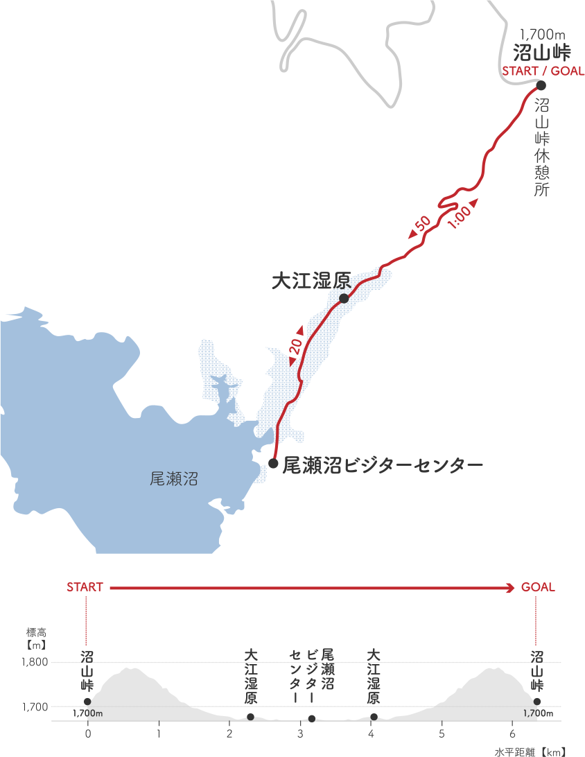 尾瀬沼往復コース